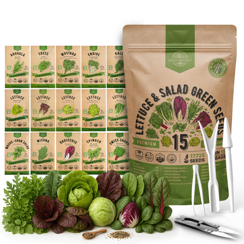Organo Republic 15 lettuce seeds variety pack front view for home gardens.