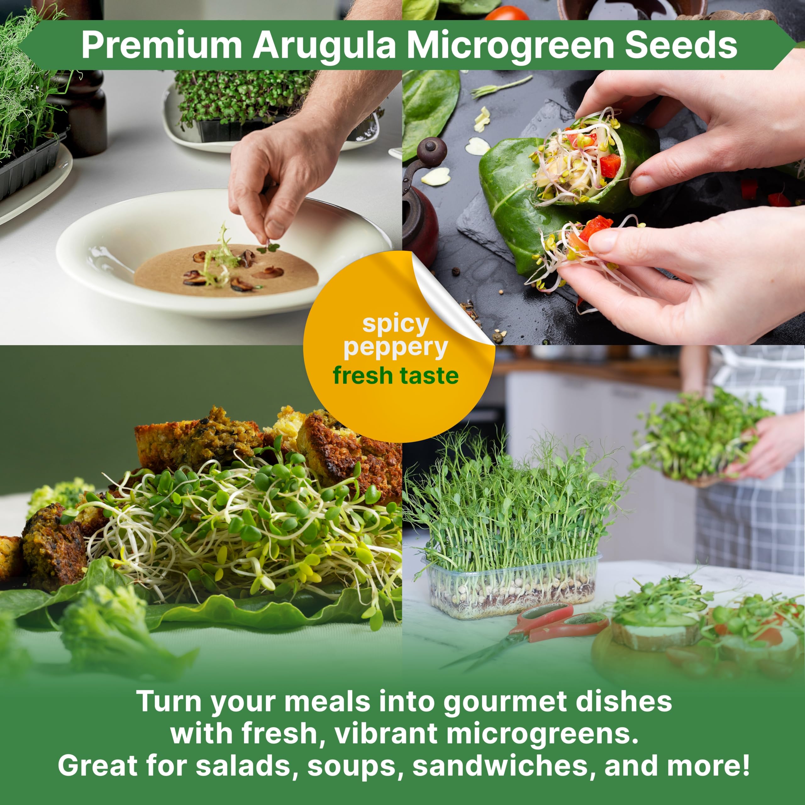 Organo Republic arugula seeds QR guide, quick-growing tips for confident home gardeners.