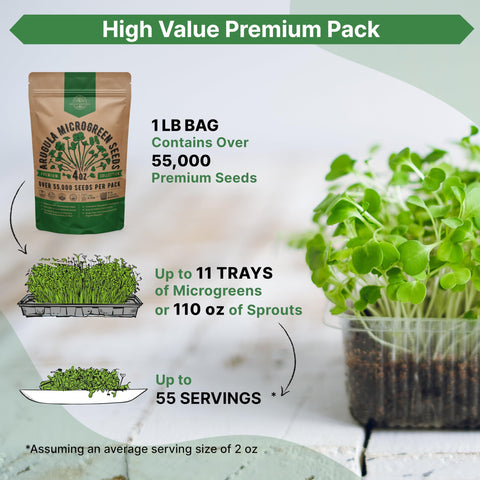 Organo Republic arugula sprouts tray, ready-to-harvest microgreens for fresh salads.