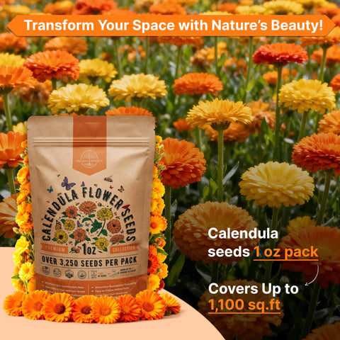 Organo Republic calendula blooms in orange and yellow colors.