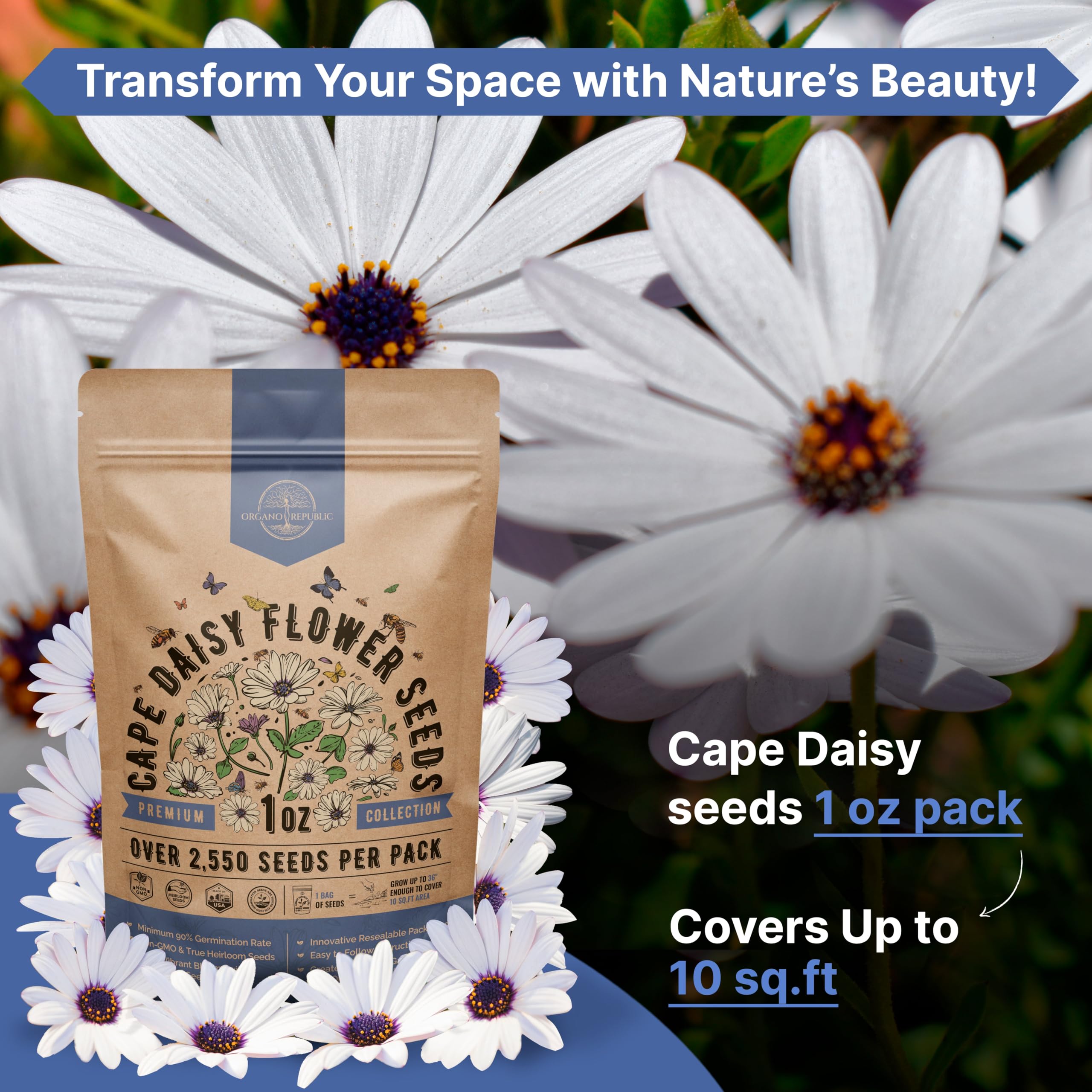 Organo Republic cape daisy seeds demonstrate strong germination potential in trials.