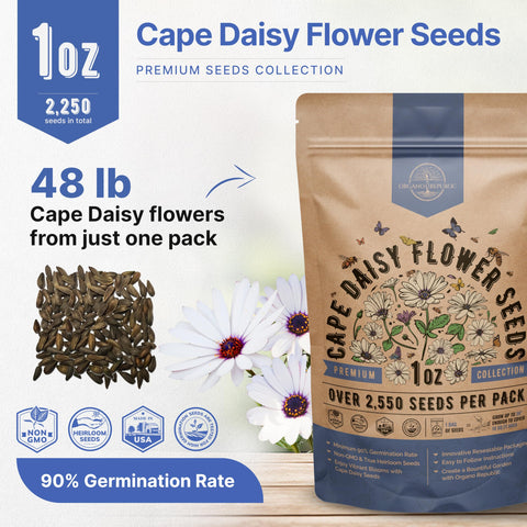 Organo Republic cape daisy seeds QR guide printed on the package for easy growing.