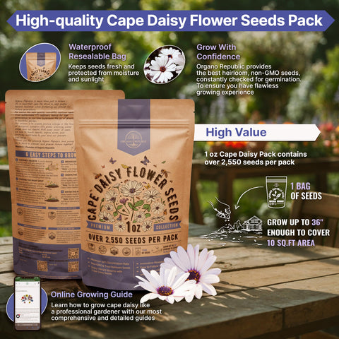 Organo Republic cape daisy seeds in a waterproof bag protect moisture and light.