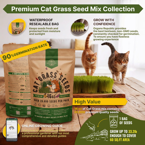 Organo Republic cat grass seeds mix germination rate graphic, strong sprouting potential.