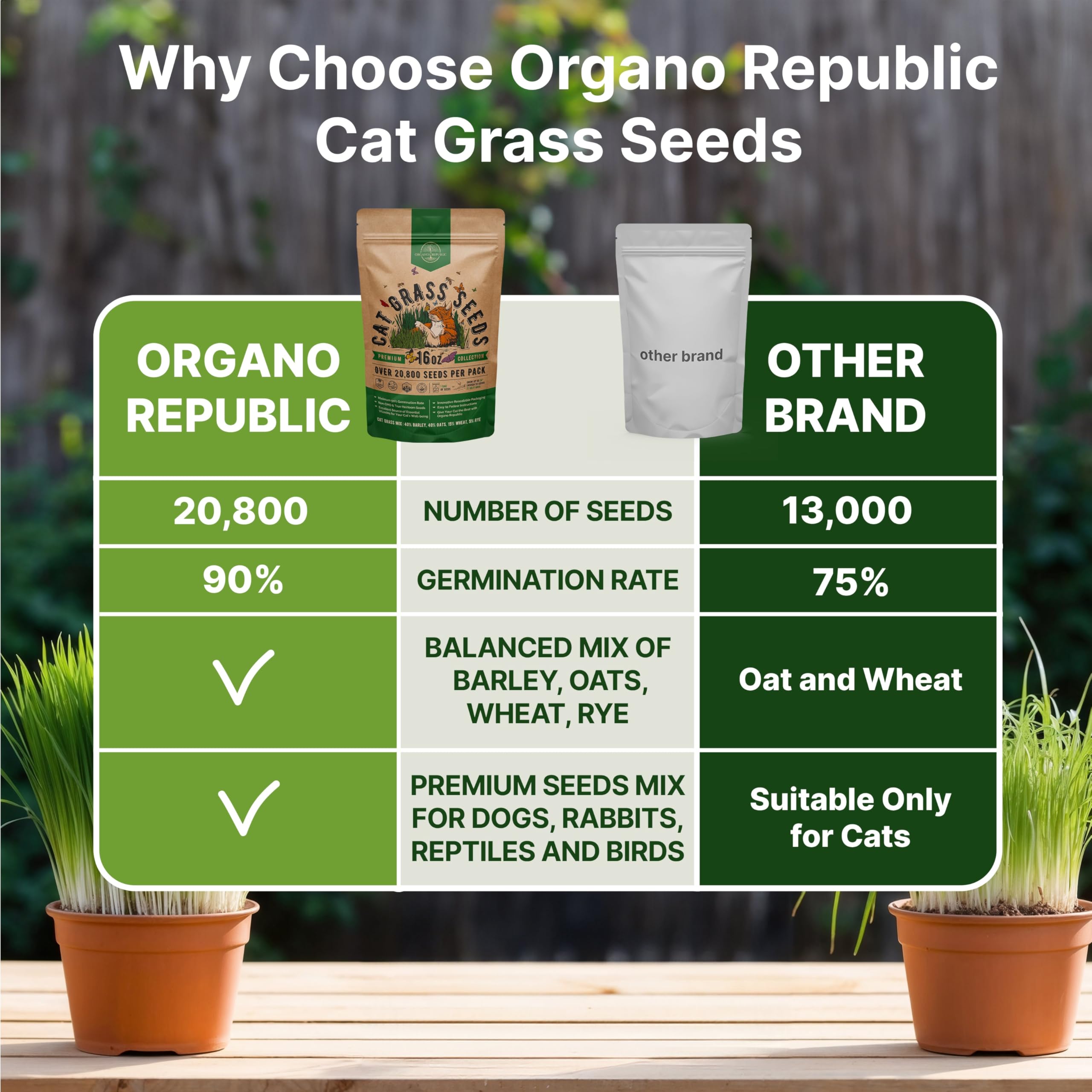 Organo Republic cat grass seeds mix growing in tray, ideal for pets indoors.