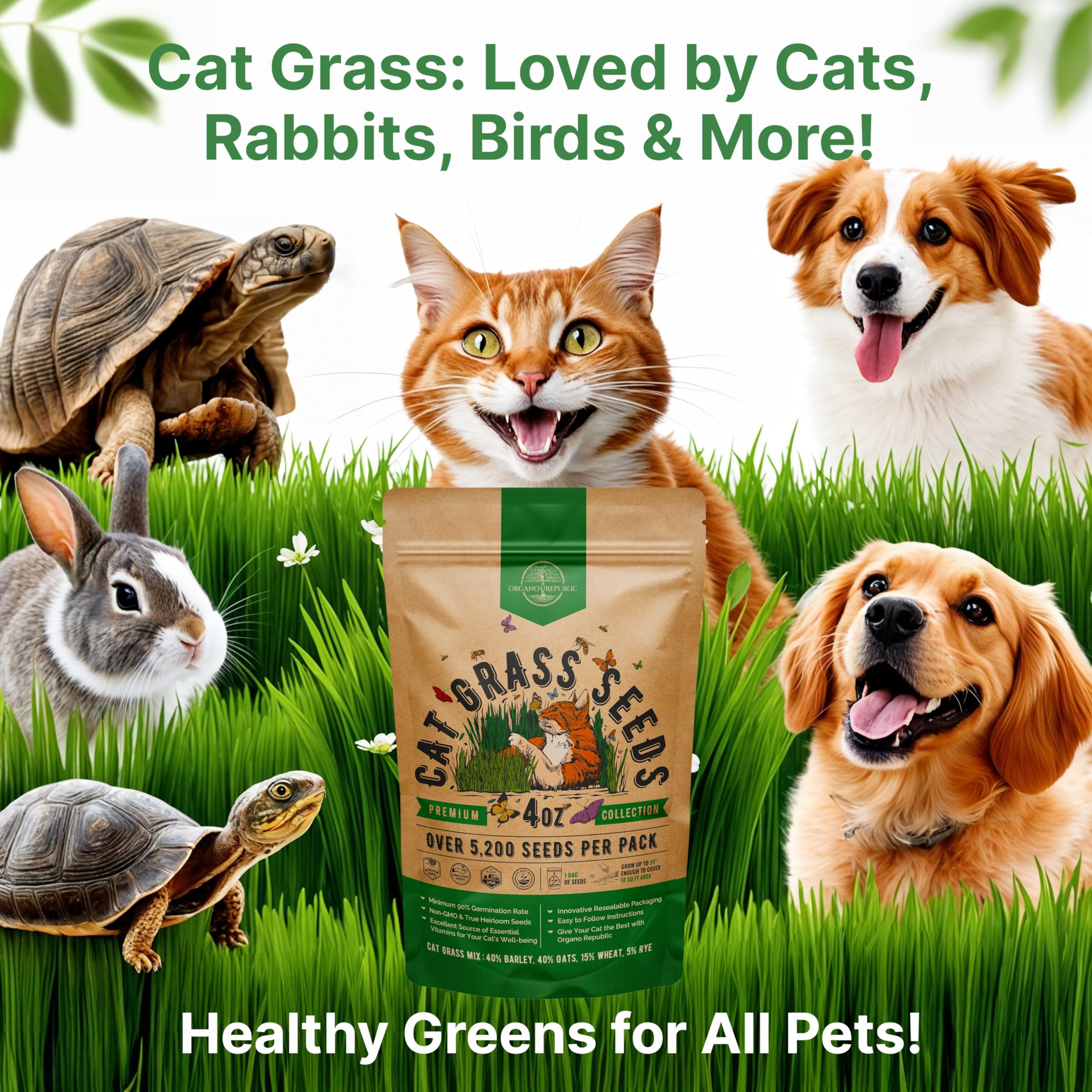Organo Republic Cat Grass Seeds Mix indoor tray setup for home planting