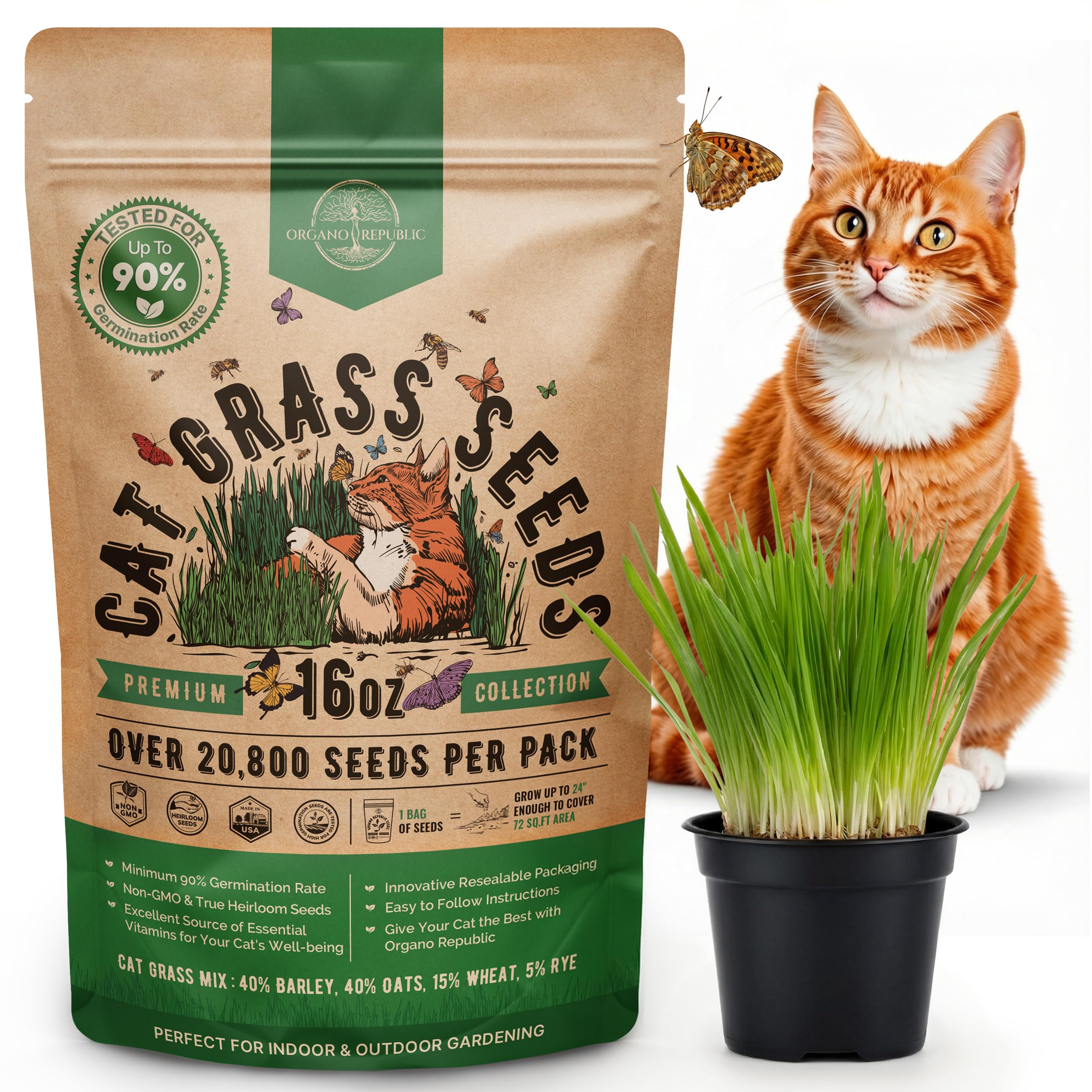 Organo Republic cat grass seeds mix seed bag, freshness for healthy indoor greens.
