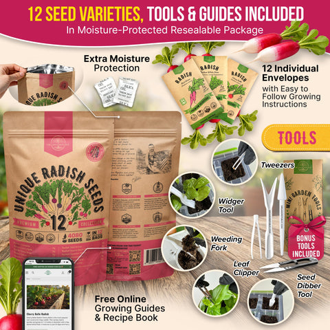 Organo Republic Cherry Belle radish seeds pack with fast sprouting potential.
