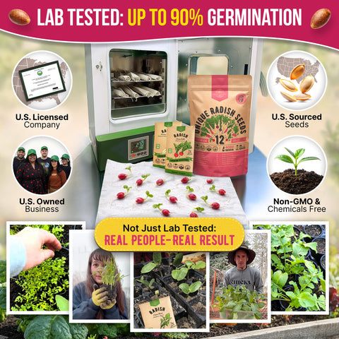 Organo Republic Daikon radish seeds pack ideal for crisp salads.