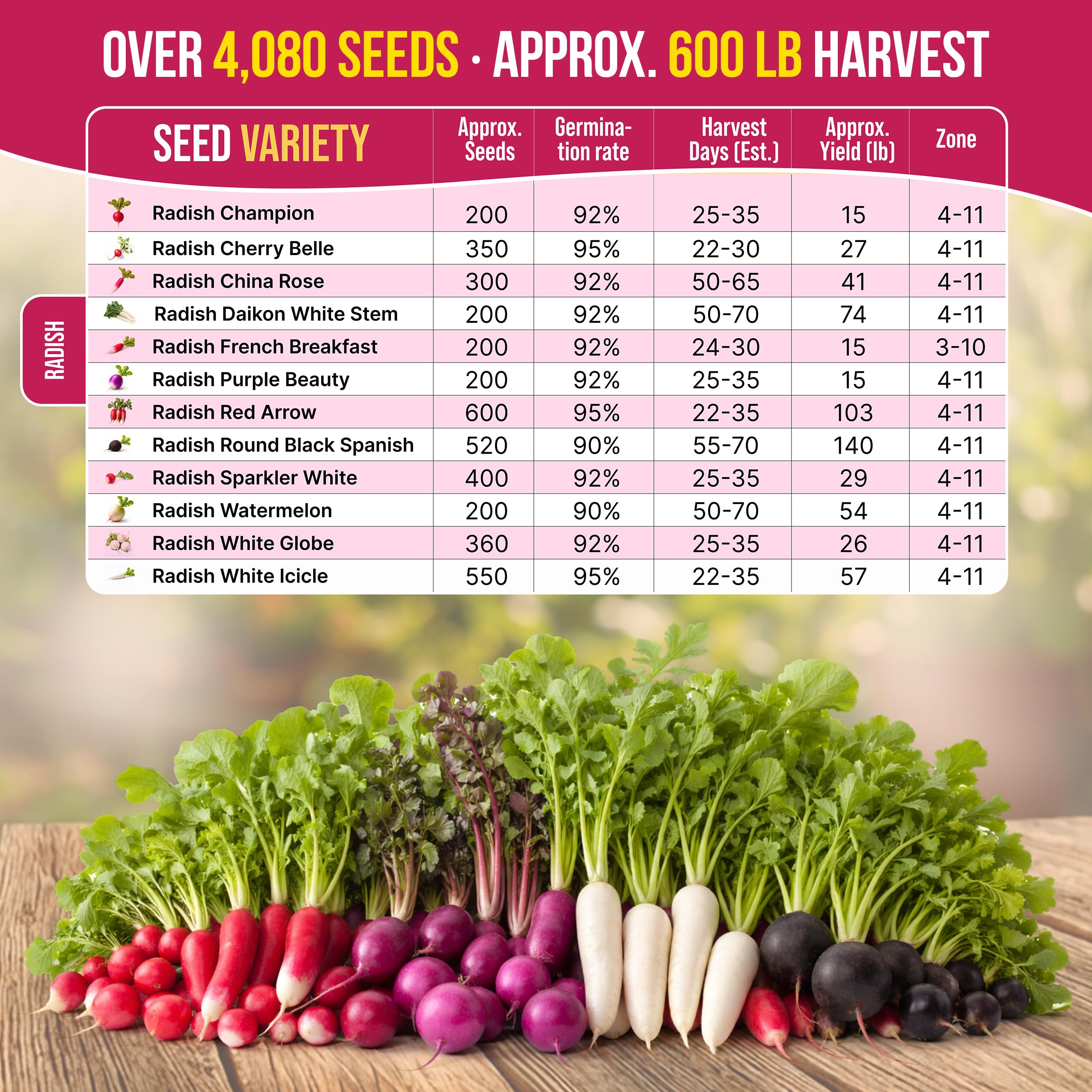 Organo Republic French Breakfast radish seeds pack for colorful kitchen garden.