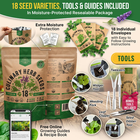 Organo Republic germination guide included illustrating seed-to-sprout steps.