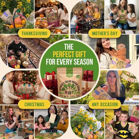 Gift-ready seed kit from Organo Republic perfect for gardeners