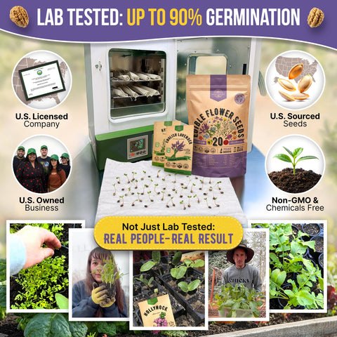 Organo Republic heirloom non-GMO seeds for vibrant edible blooms.