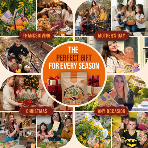 Organo Republic heirloom varieties boost flavor diversity for fresh meals