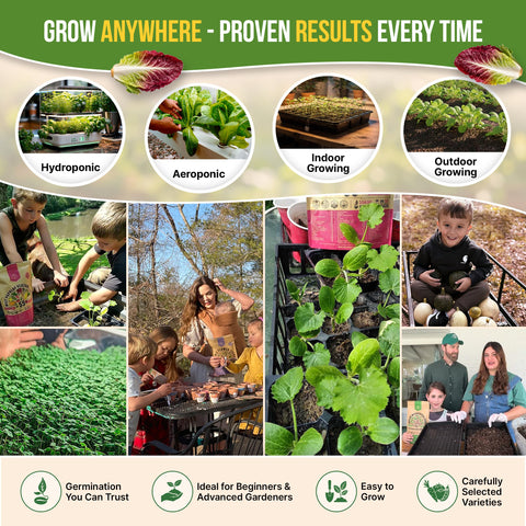 Organo Republic high germination potential tested for year-round harvest.