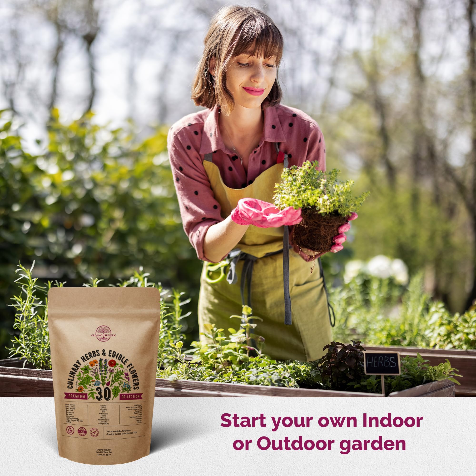 Organo Republic seeds with high germination rate for reliable sprouts