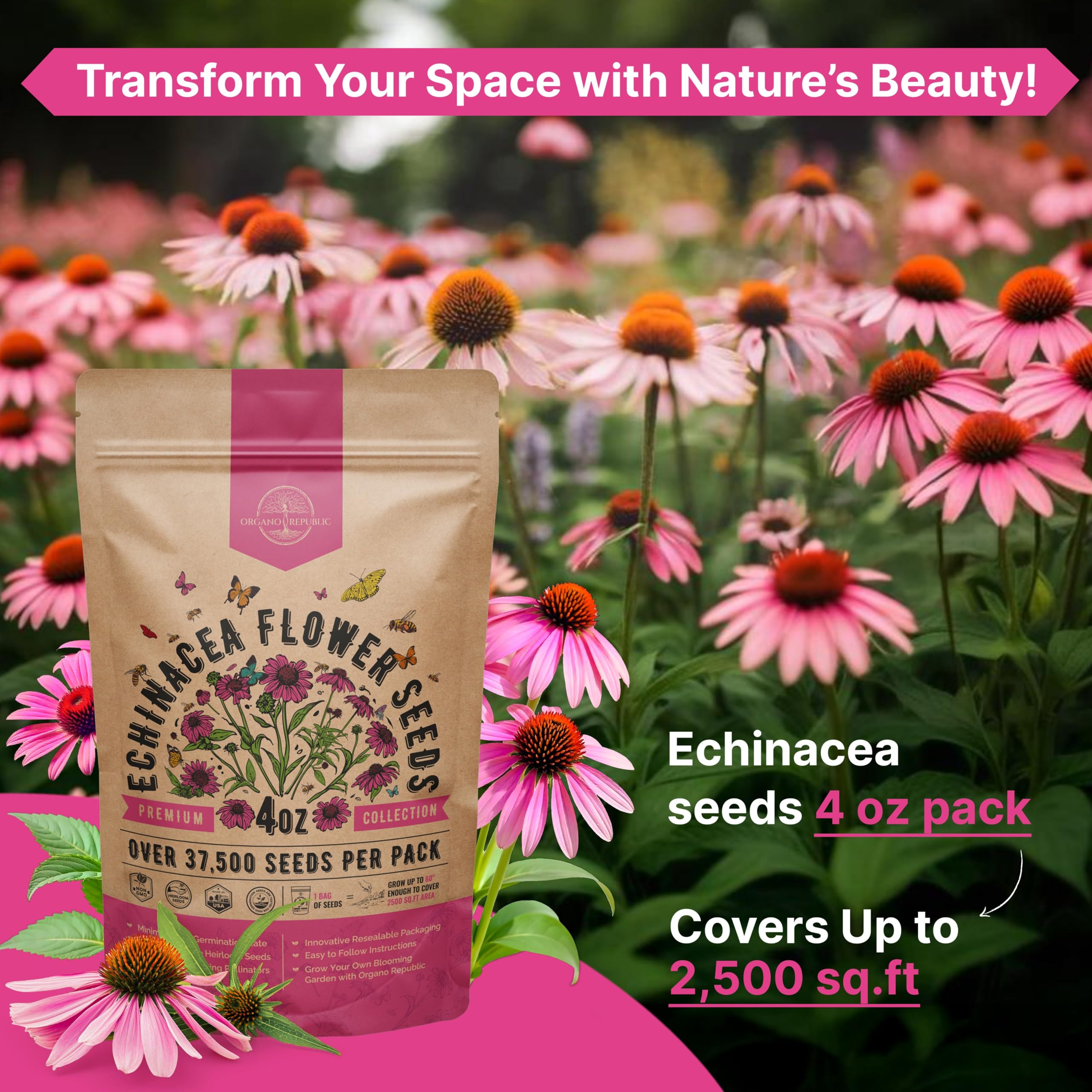 Organo Republic seeds demonstrate a high germination rate for reliable blooms.