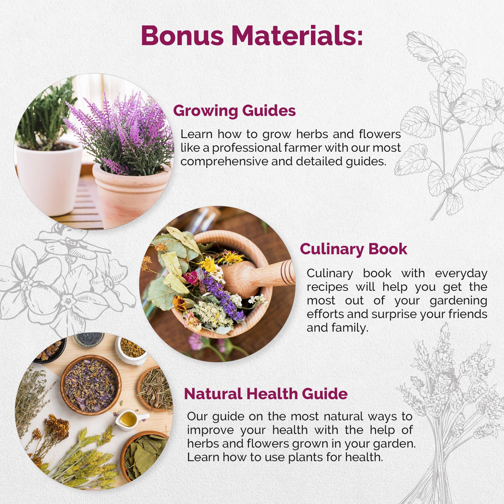 Organo Republic illustrated seed list highlighting 30 herbs and edible flowers