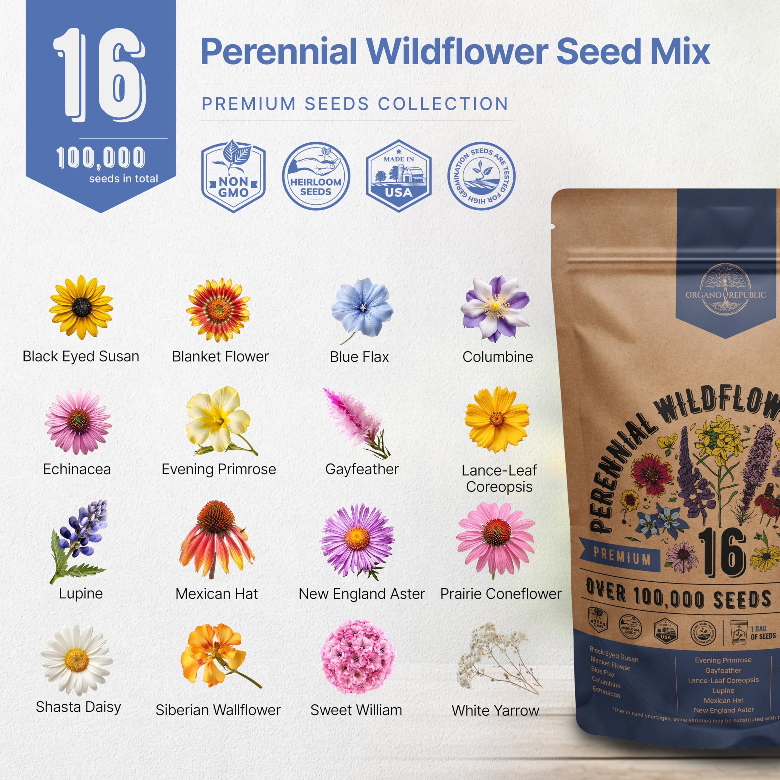 Organo Republic indoor-outdoor garden spread showing colorful wildflowers.