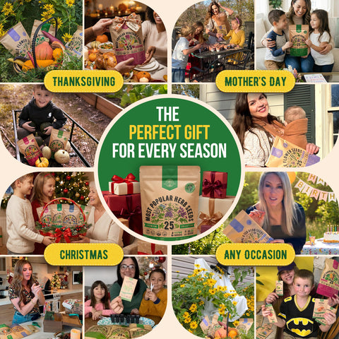 Indoor and outdoor herb garden setup with the variety pack offers fresh harvest options.