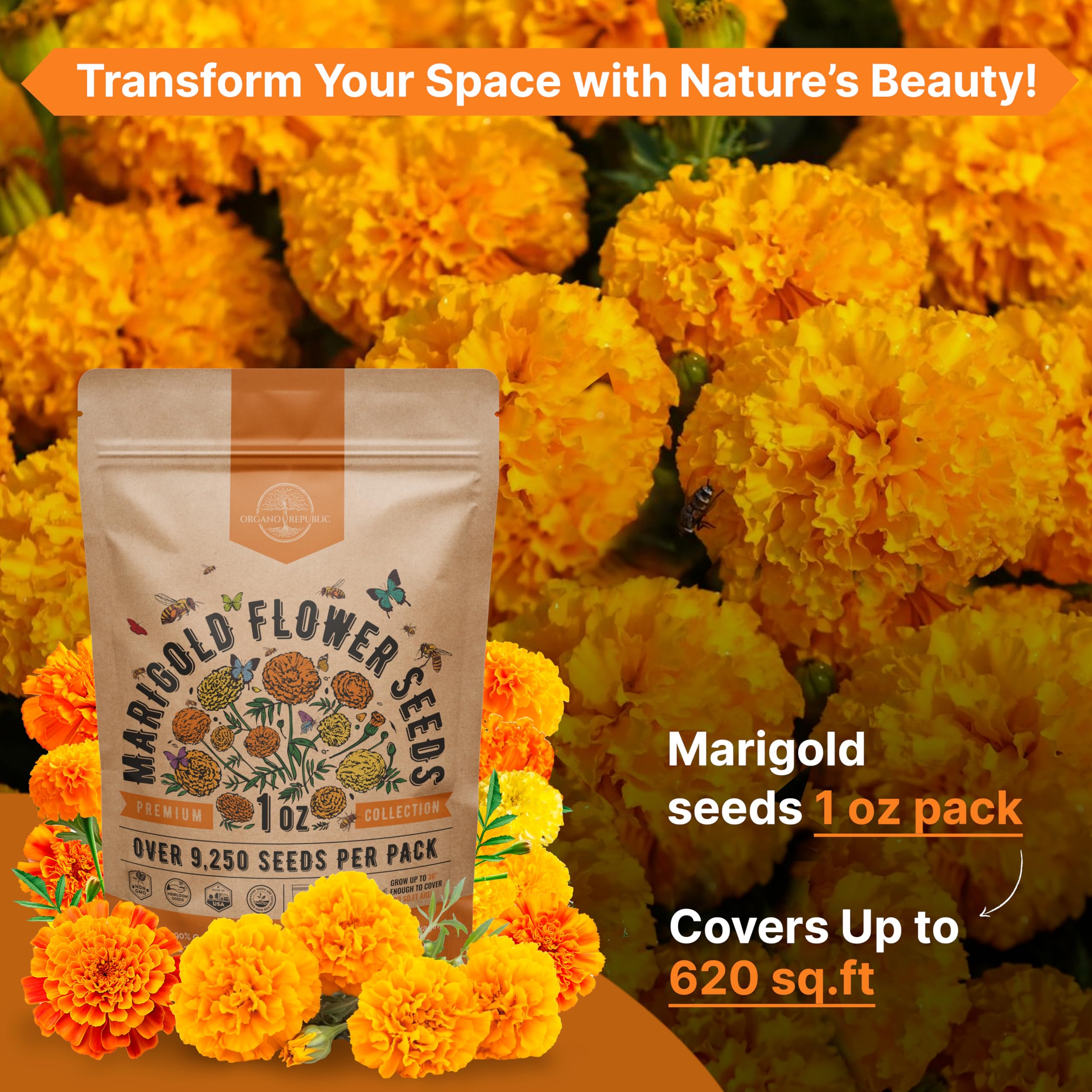 Organo Republic marigold seeds easy to grow for both indoor and outdoor gardening.