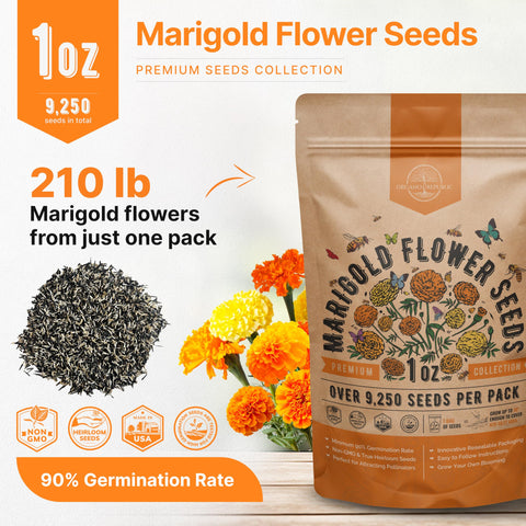Organo Republic marigold seeds QR guide enables easy planting instructions for beginners.