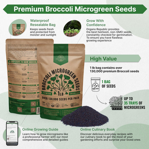 Organo Republic microgreens growing tray setup showcasing easy indoor cultivation.