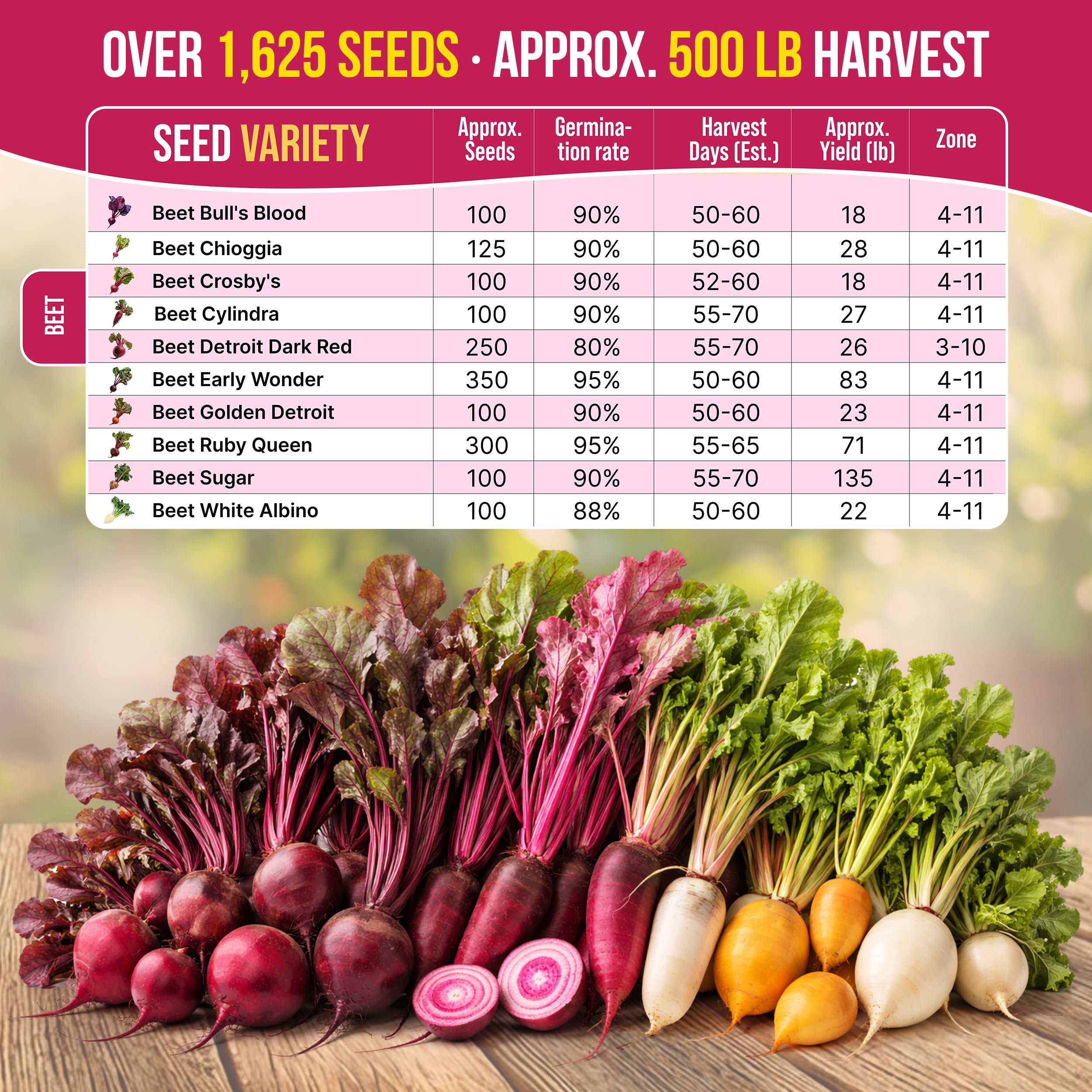 Organo Republic mini gardening tools included support precise beet planting.