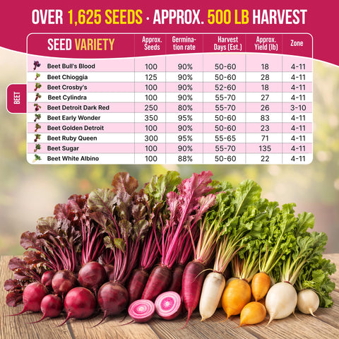 Organo Republic mini gardening tools included support precise beet planting.