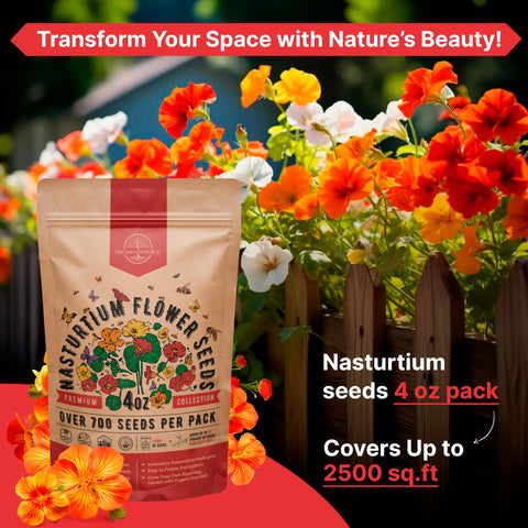 Organo Republic Nasturtium seeds high germination rate visuals