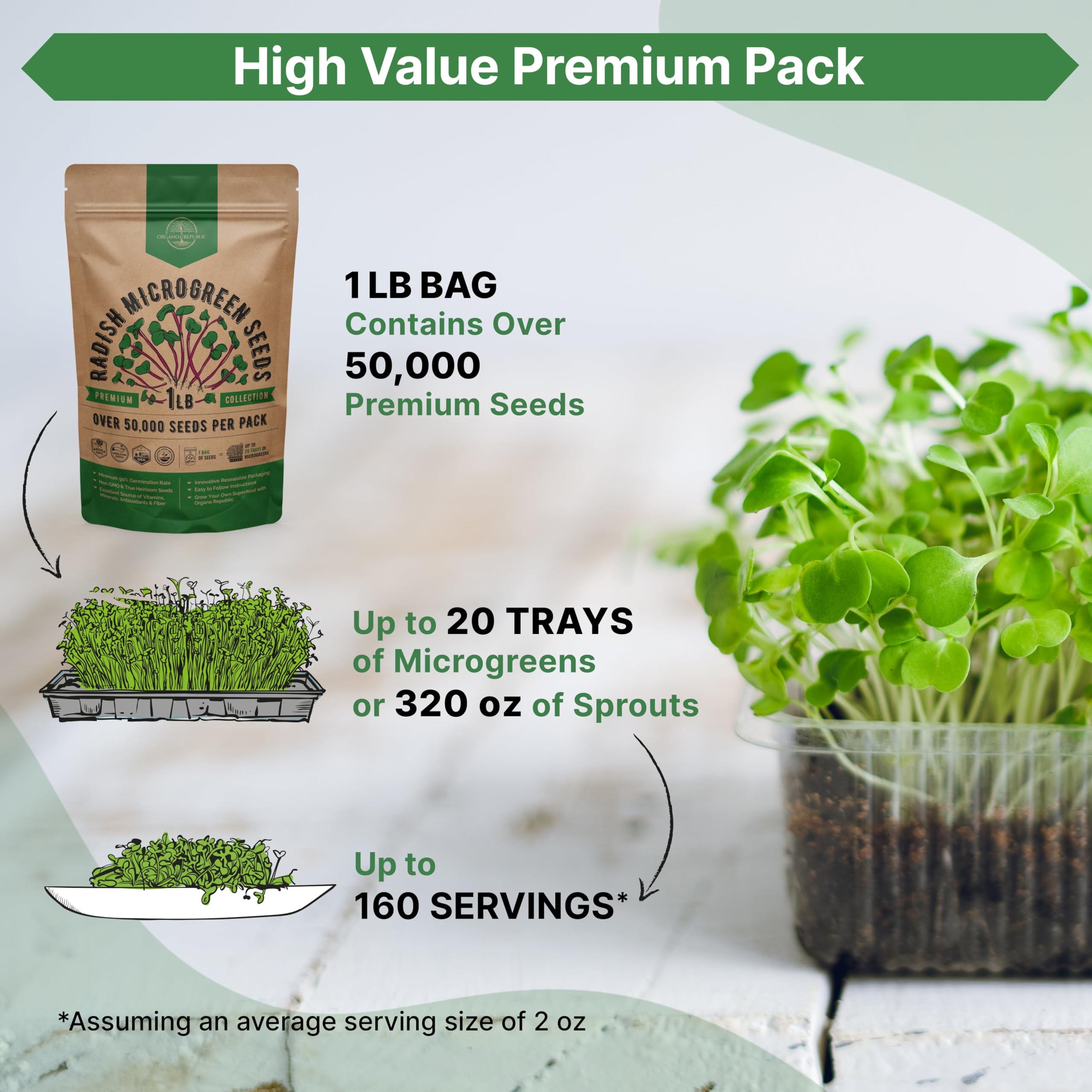 Organo Republic non-GMO heritage radish seeds for vibrant sprouts.