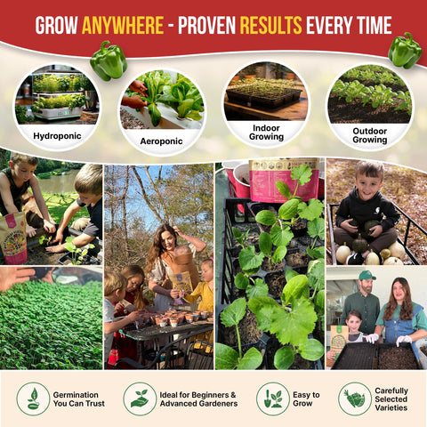 Organo Republic outdoor pepper patch showcasing a diverse harvest.