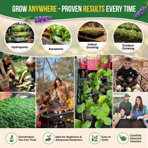 Organo Republic outdoor raised-bed herb garden for seasonal harvests.