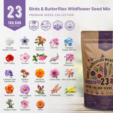 Organo Republic planting guide image, step-by-step instructions for thriving wildflowers.