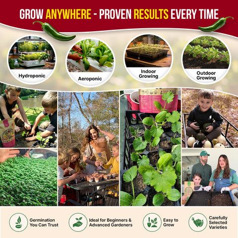 Organo Republic packets feature QR guides with growing tips and recipes