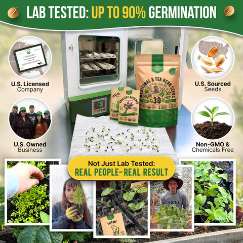 Organo Republic seed packets neatly organized for indoor and outdoor gardening.