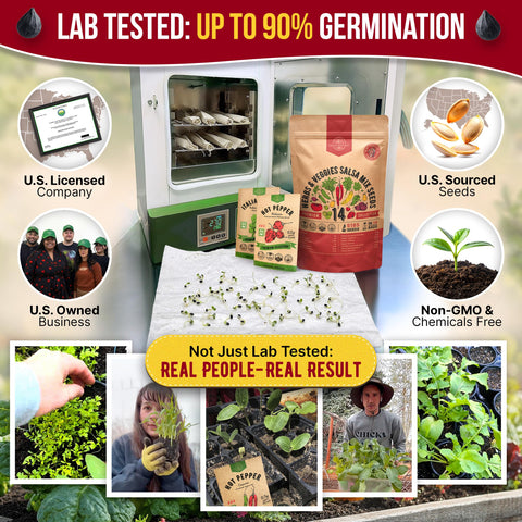 Organo Republic seed packets inside the kit offer diverse varieties for indoor and outdoor gardening