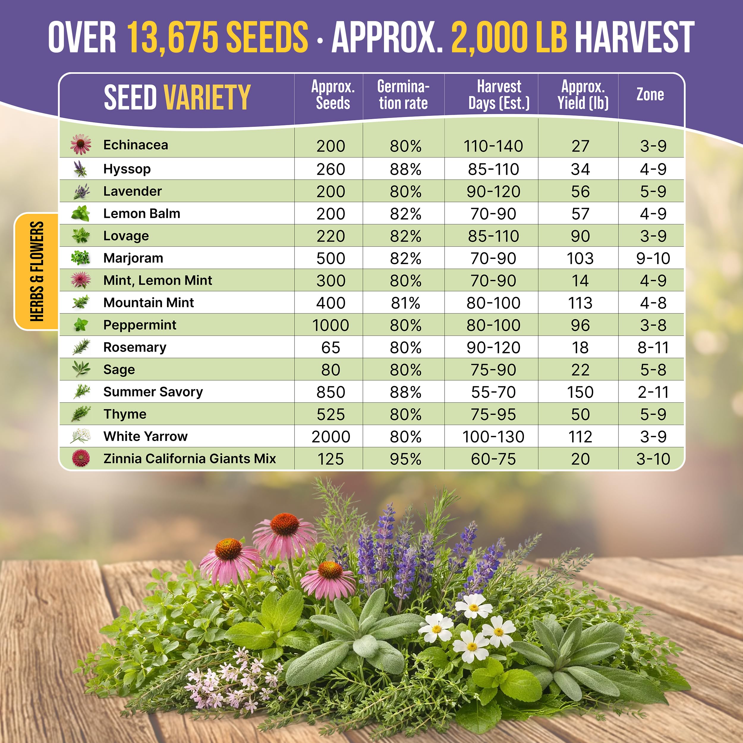 Organo Republic seed packets with QR guides for easy growing and culinary ideas