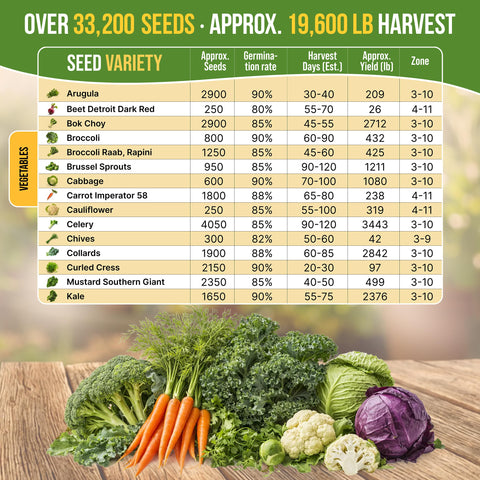 Organo Republic 30 seed packets displayed, featuring heirloom varieties for diverse winter harvests