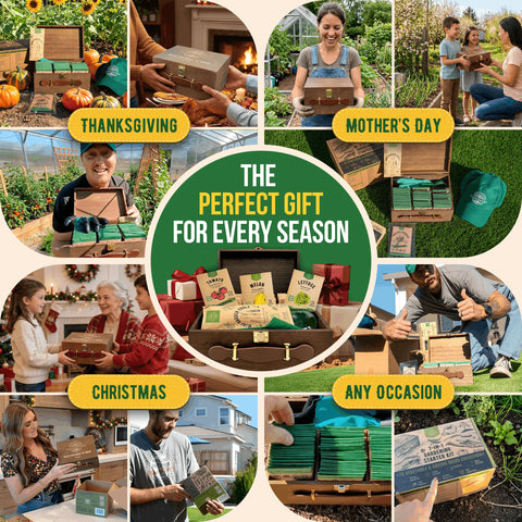 Organo Republic USA-sourced seeds support sustainable gardening