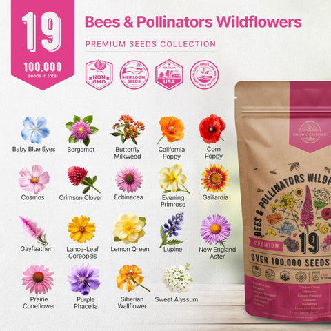 Organo Republic wildflower seeds in a sunny garden attracting bees and butterflies