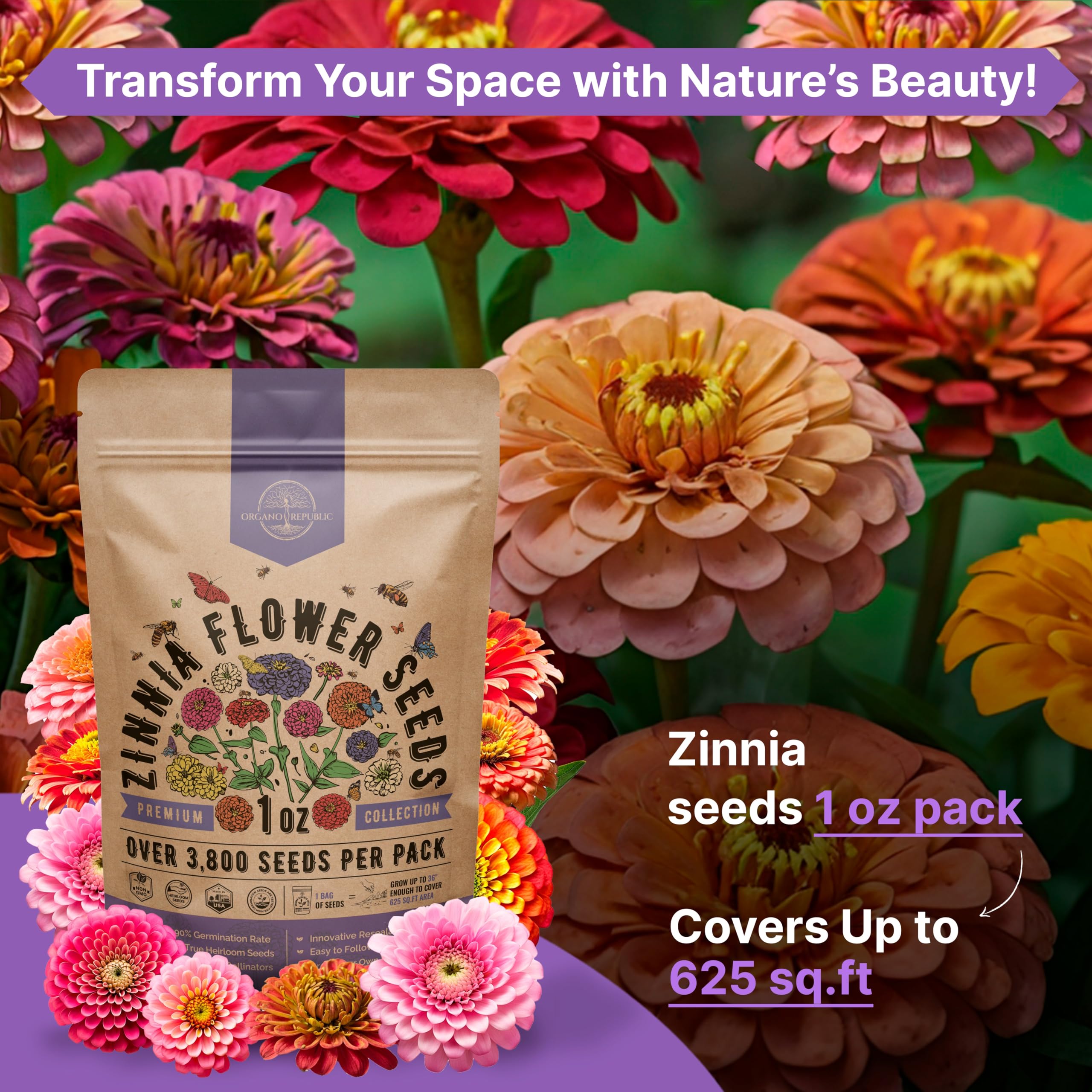 Organo Republic zinnia blooms await in sunny beds, ready to brighten balconies.