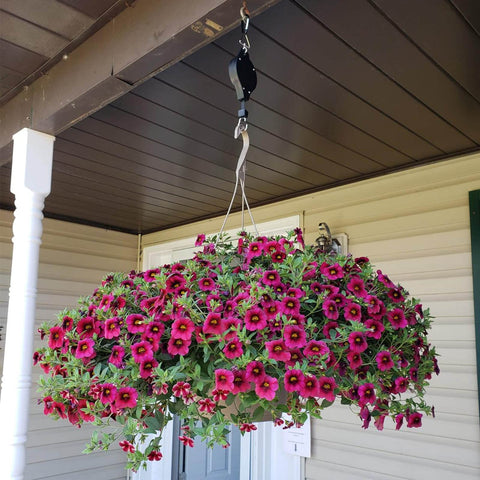 Orgrimmar hanging basket strap attachment with carabiner clips