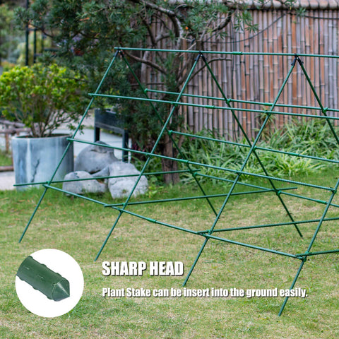 Orgrimmar tomato and cucumber support using the trellis system.