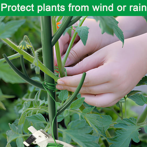 Orgrimmar tree shaped stakes ideal for Monstera and trailing varieties