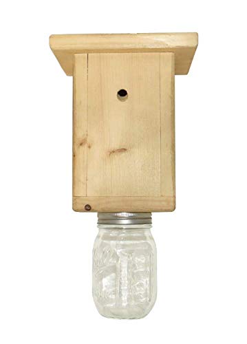 Original B Brothers carpenter bee trap side housing showcases durable unfinished pine for outdoors.