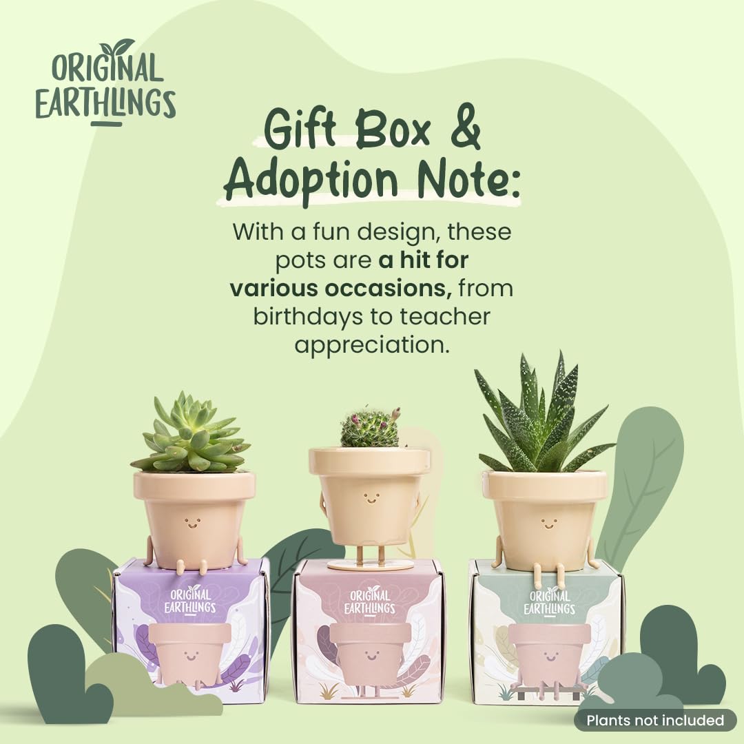 Original Earthlings cactus pot brightens desks and shelves with playful personality.