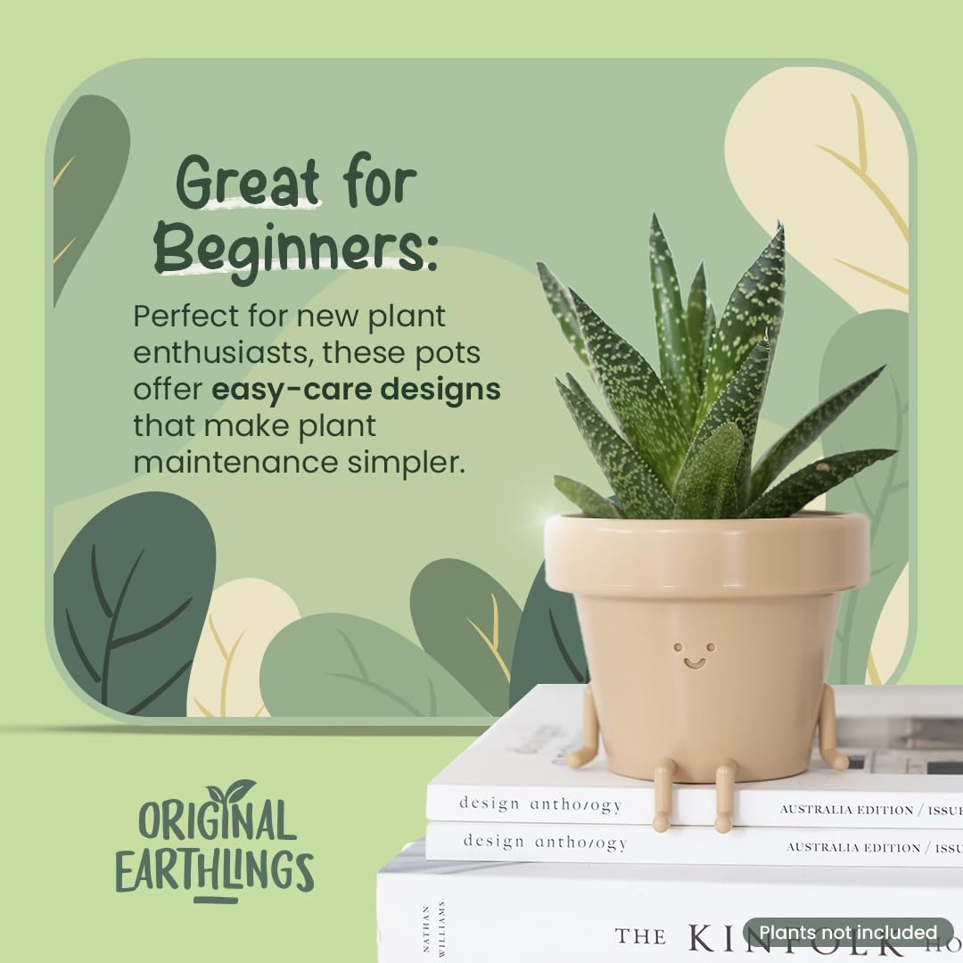 Original Earthlings Christmas planter adds festive charm to homes and classrooms.