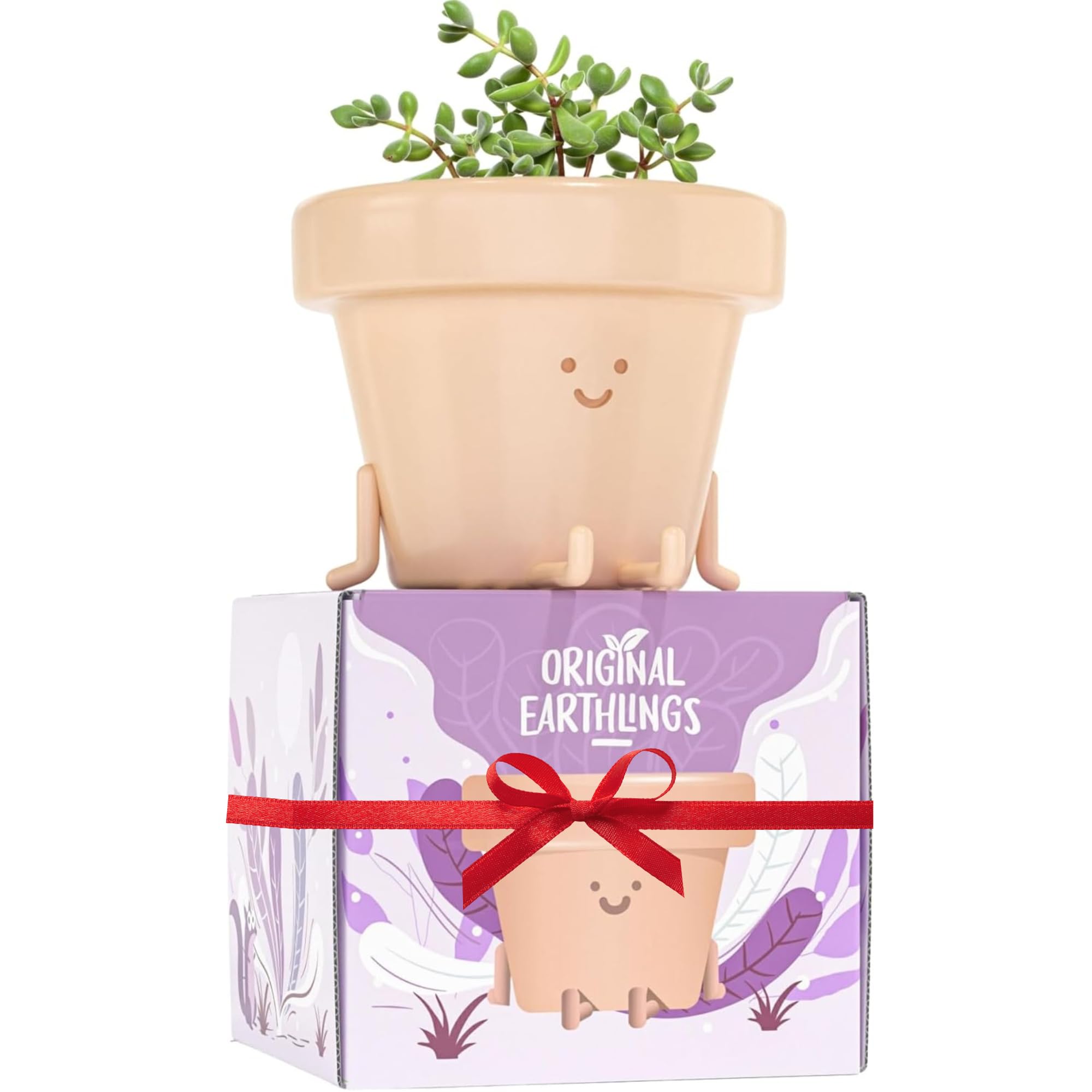 Original Earthlings legs-out pot 4-inch front view, perfect for succulents on a desk.