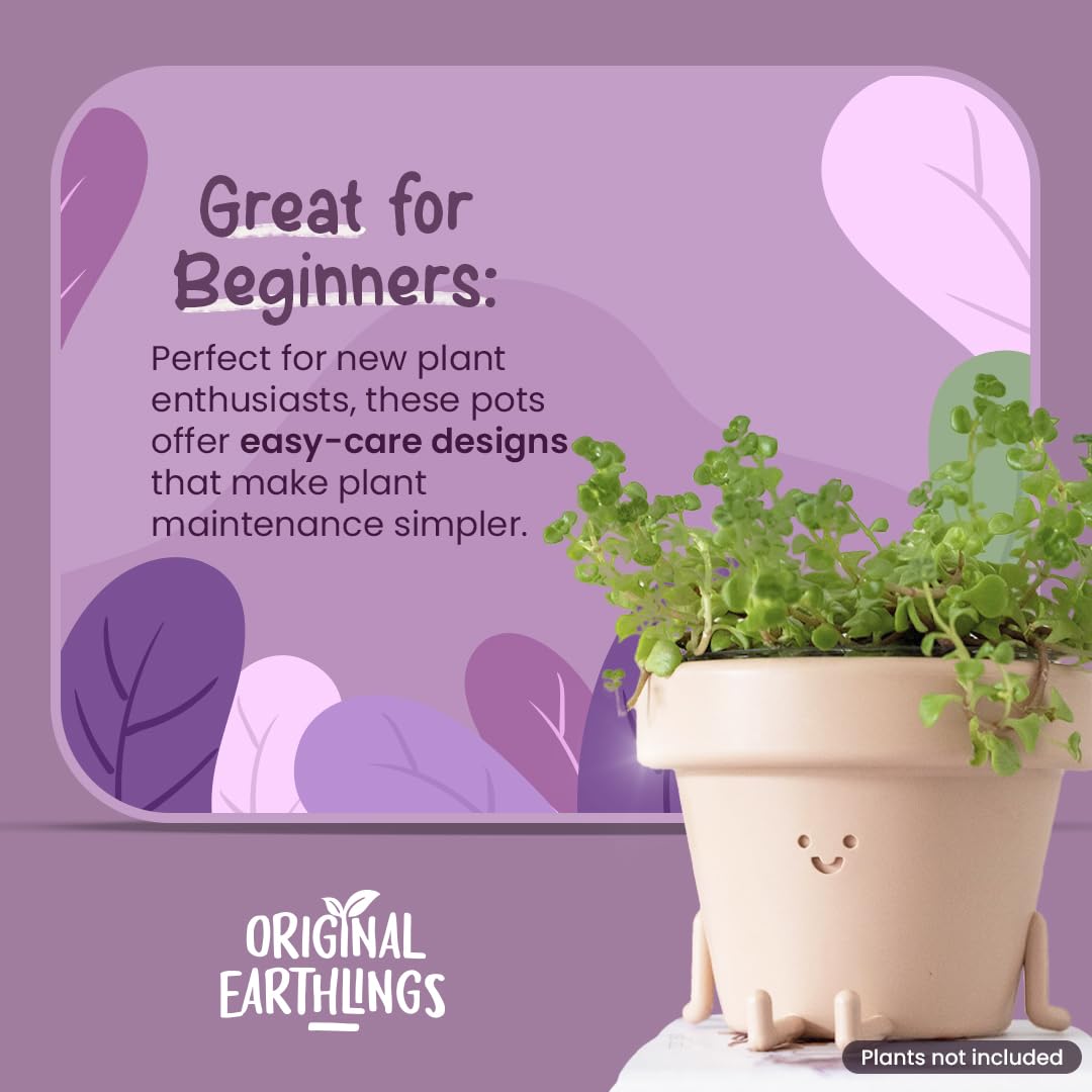 Original Earthlings succulent face pot, cheerful desk decor for plants.